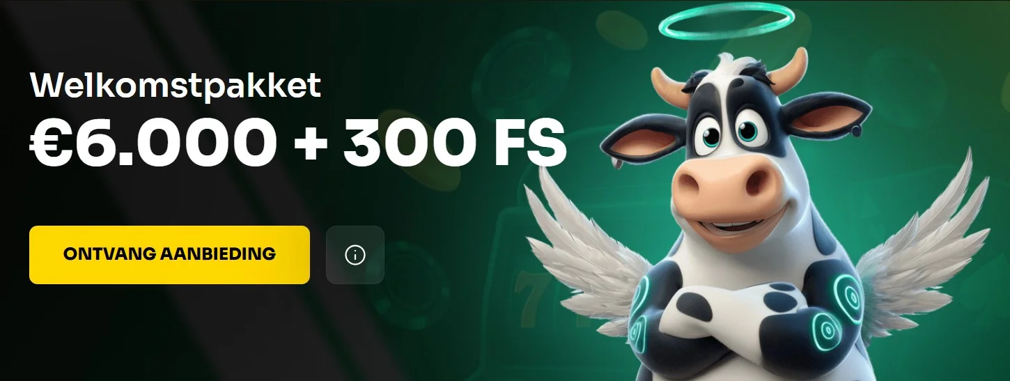 Holyluck banner